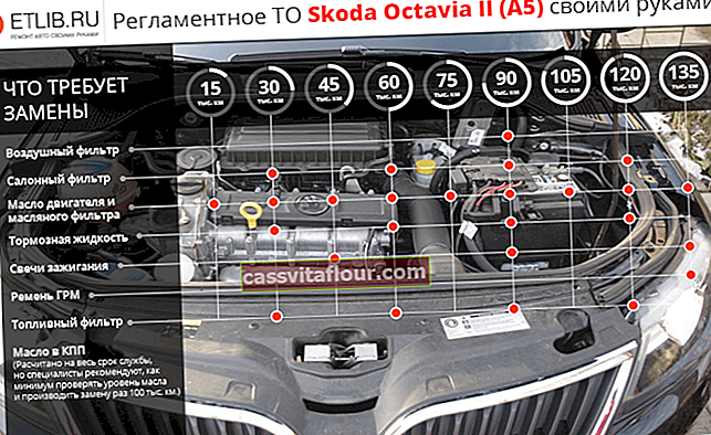Předpisy pro údržbu Škoda Octavia 2 A5.  Intervaly údržby pro Škoda Octavia II A5